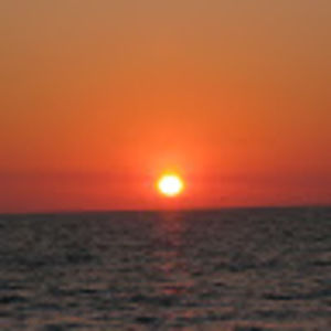 Meet your Posher, Noelle